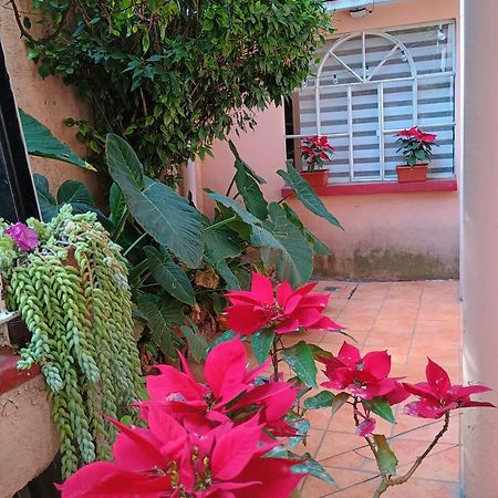 Relax Apartment Kota Meksiko Bagian luar foto